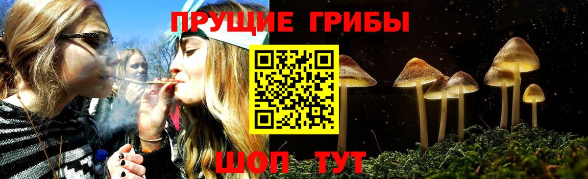 Галлюциногенные грибы ЛСД Печора