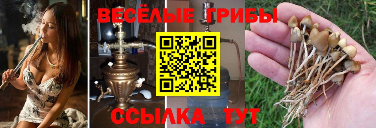 Печора  Галлюциногенные грибы мицелий  Вход с VPN 